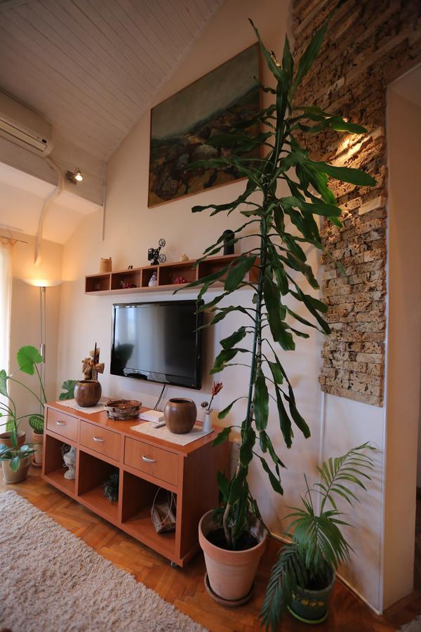Magic Apartment Novi Sad Extérieur photo