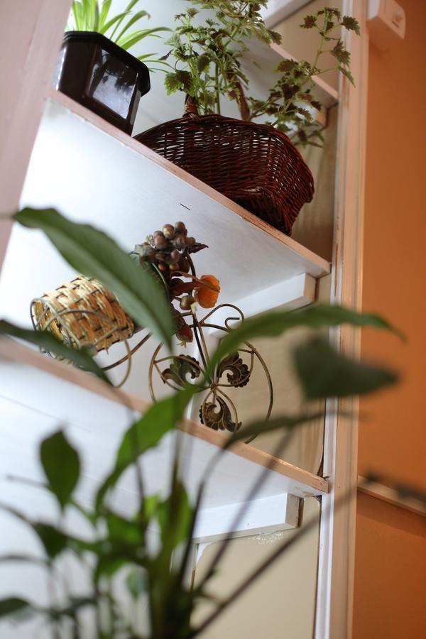 Magic Apartment Novi Sad Extérieur photo
